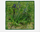 SOOYEH-NS Scarf P072 001