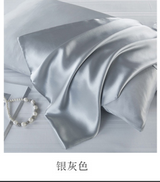 SOOYEH-NS 换购 Silver 001